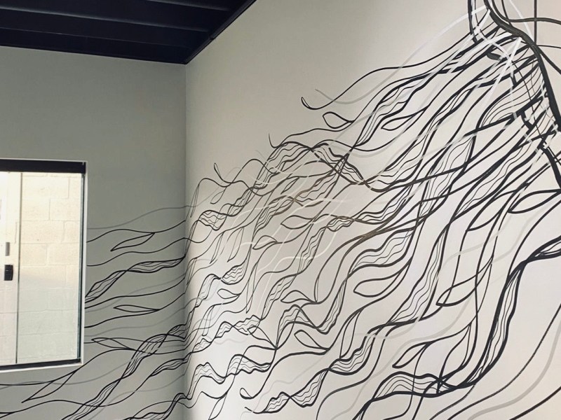 – água viva (casa&nbsp;container)